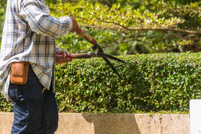 Garden Maintenance Chigwell Row, Chigwell, IG7